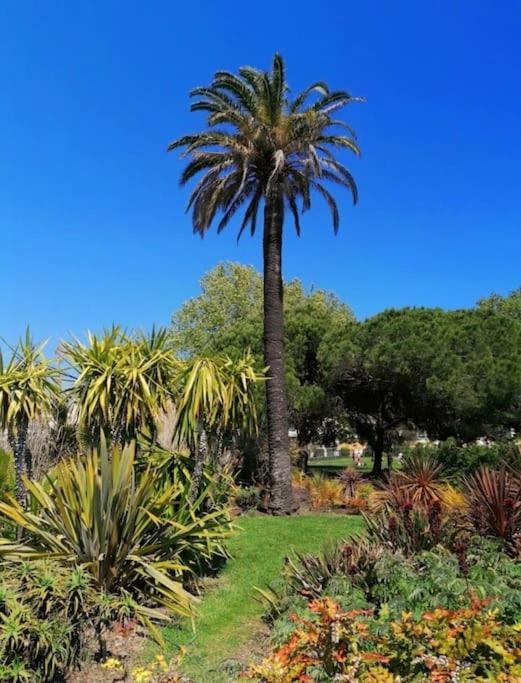 Charmant Studio Renove A Antibes, Plage A 10 Min A Pied Exterior foto